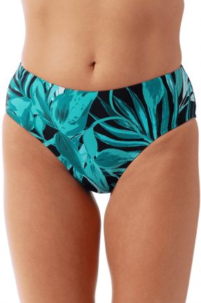 Judy Hipster Bottom, Bold Paradise